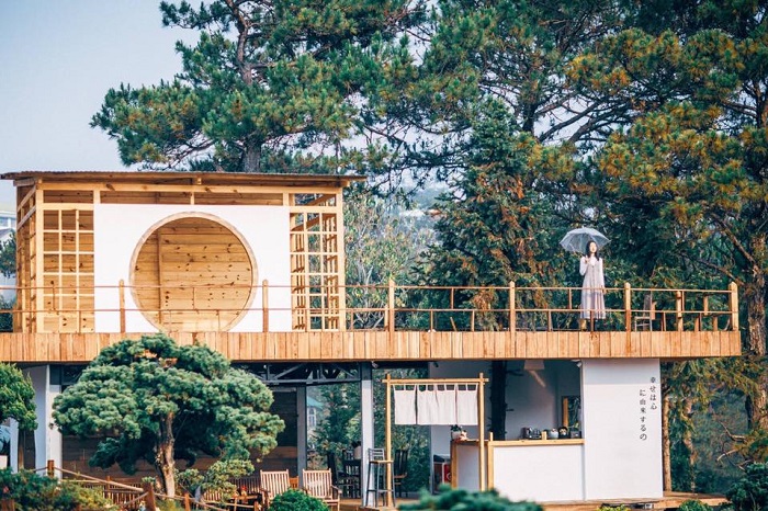 Bạn đã đến “vườn địa đàng” lá phong Đà Lạt chưa