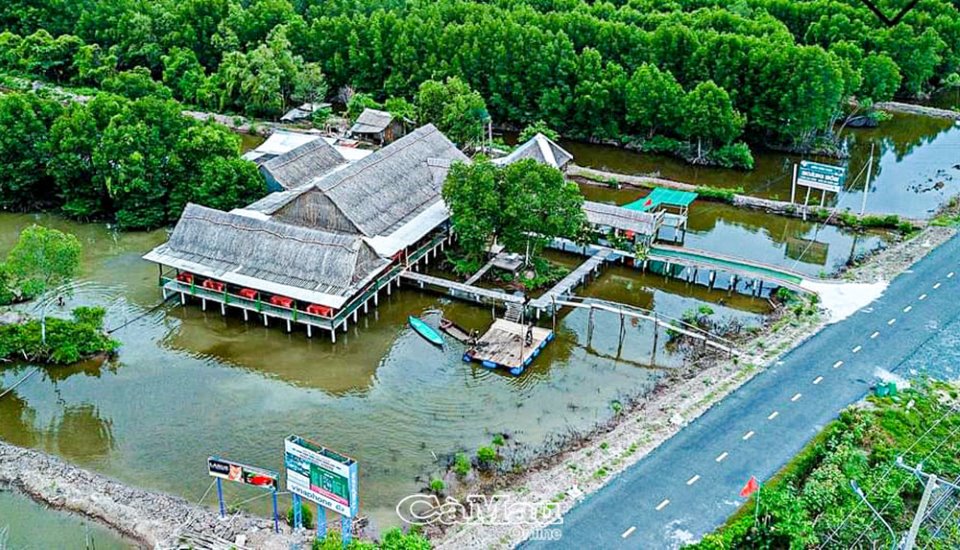 Cà Mau: Du lịch “xanh”