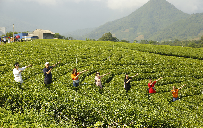 Đồi chè Cầu Đá - Điểm tham quan, check in tuyệt vời dành cho du khách tại Thái Nguyên Đồi chè Cầu Đá - Điểm tham quan, check in tuyệt vời dành cho du khách tại Thái Nguyên