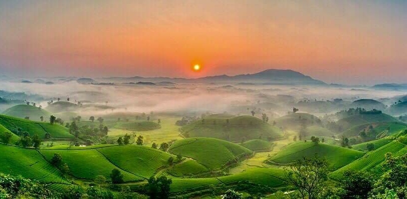 Ngắm vẻ đẹp mê hồn của đồi chè Long Cốc Ngắm vẻ đẹp mê hồn của đồi chè Long Cốc