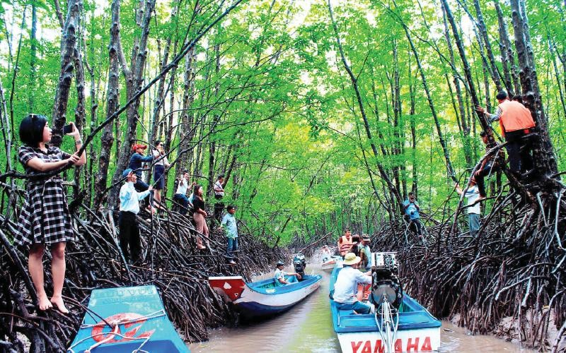 Trải nghiệm "Xanh": Nơi địa đầu Đất Mũi