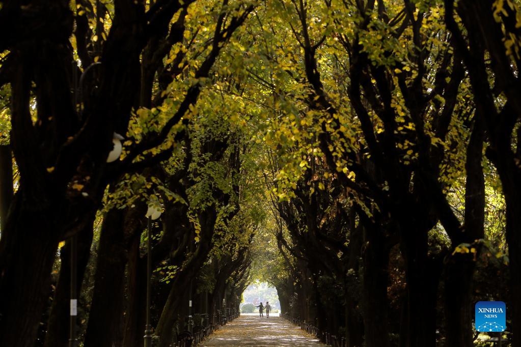 Cảnh sắc tuyệt vời của mùa thu châu Âu