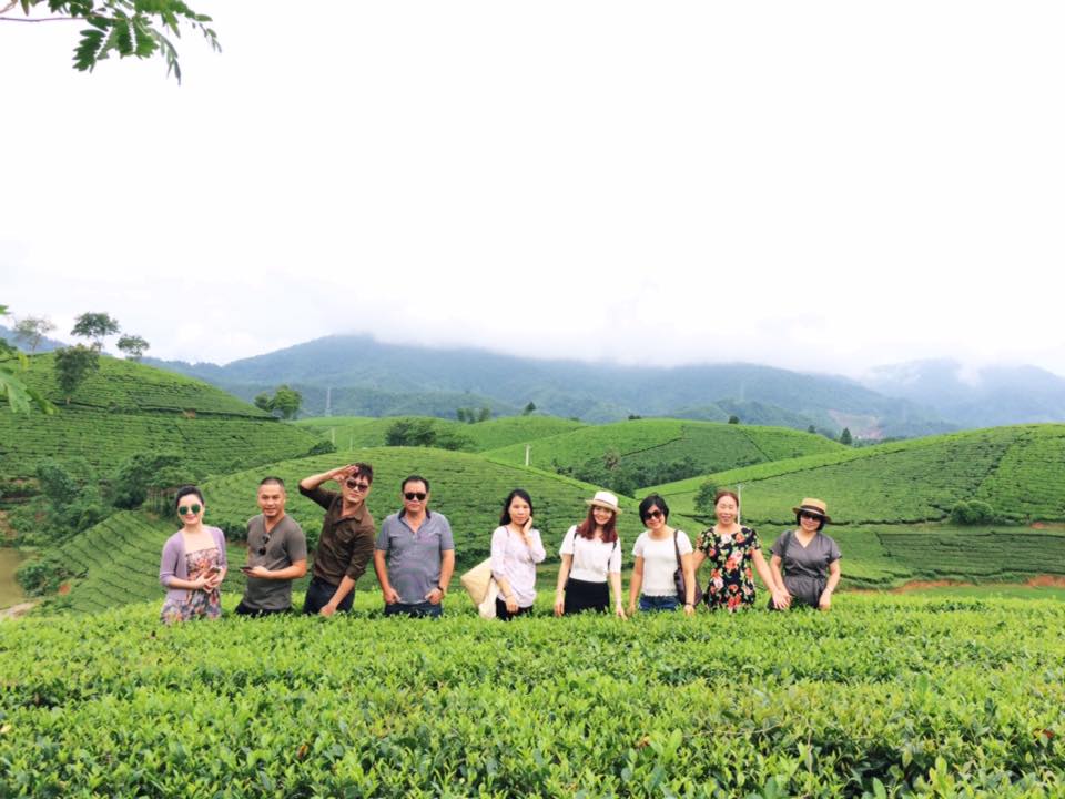 Đồi chè Phú Thọ - Tuyệt tác thiên nhiên giữa miền trung du Đồi chè Phú Thọ - Tuyệt tác thiên nhiên giữa miền trung du