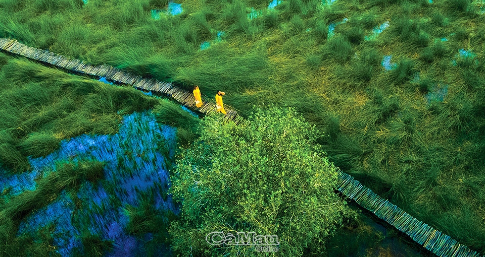 Một góc phim trường “Cánh đồng bất tận” Một góc phim trường “Cánh đồng bất tận”