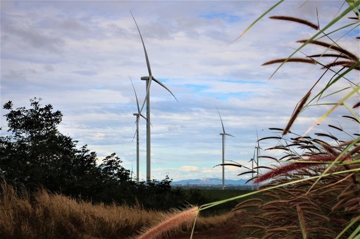 Cánh đồng quạt gió ở Đắk Đoa, Gia Lai đẹp như ngoại ô châu Âu Cánh đồng quạt gió ở Đắk Đoa, Gia Lai đẹp như ngoại ô châu Âu