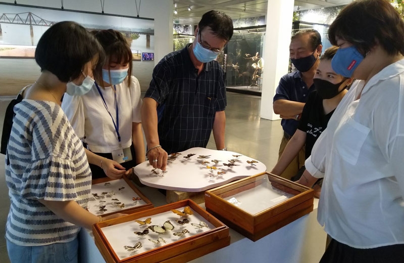 Hà Nội đón khoảng 300.000 khách du lịch trong tháng 11