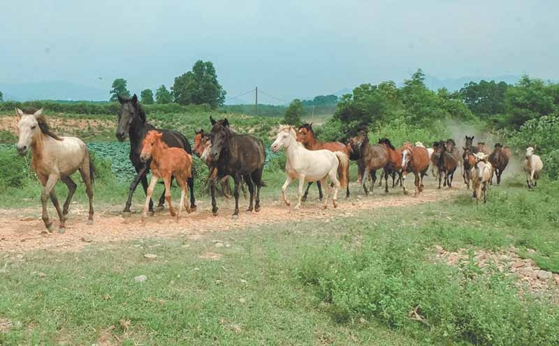 10 điểm du lịch nổi tiếng của 