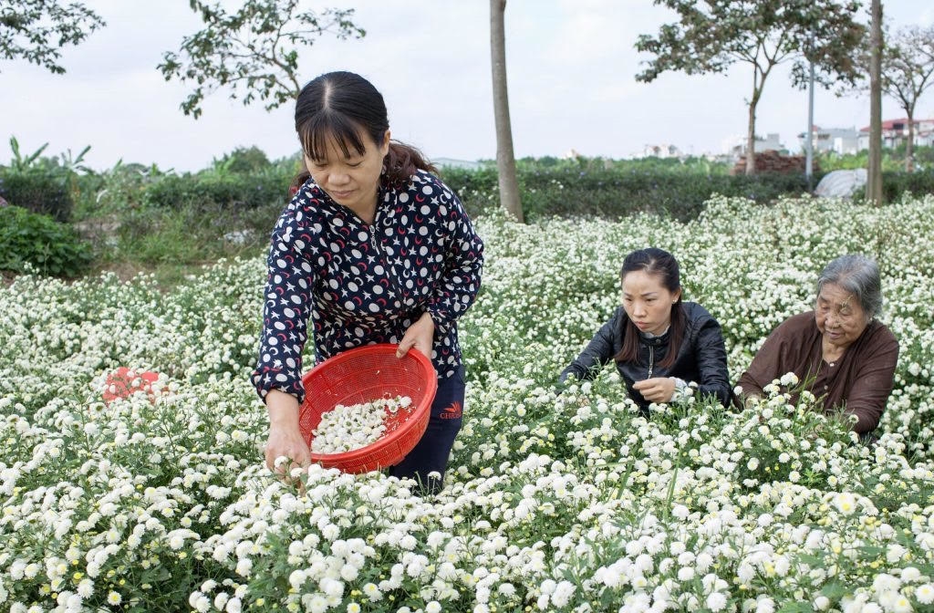 5 làng nghề độc đáo ngoại thành Hà Nội