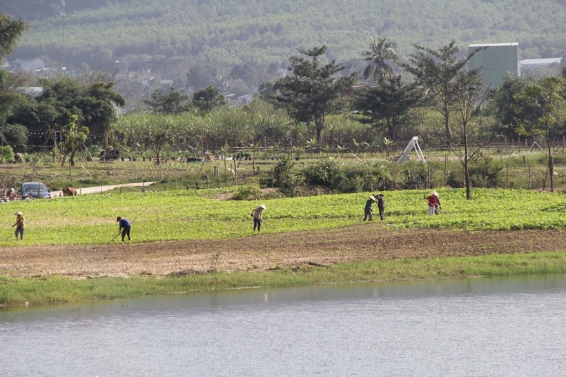 Tin bất động sản nổi bật trong tuần qua: Hà Nội công bố 8 dự án nhà ở người nước ngoài được sở hữu
