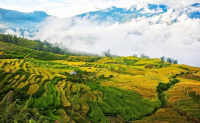 mach ban nhung dia diem san mua vang dep nhat tay bac