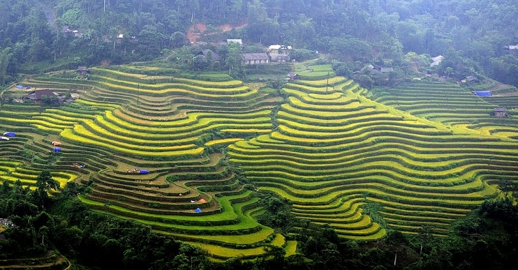 mach ban nhung dia diem san mua vang dep nhat tay bac