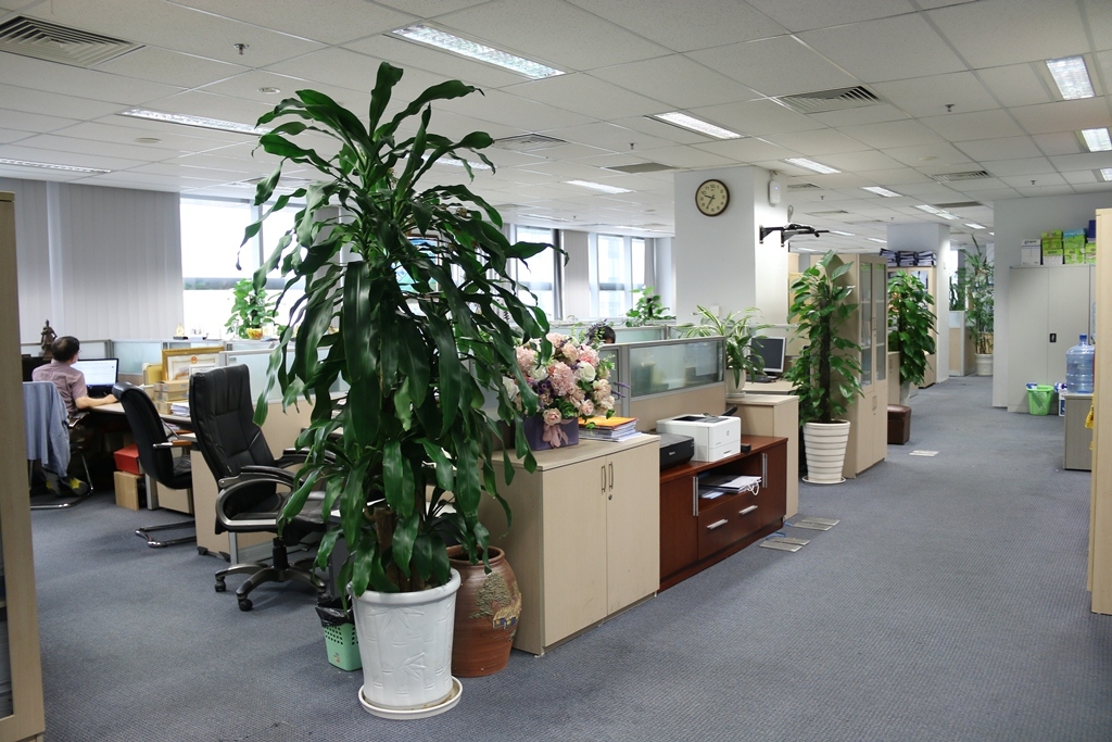 Diện mạo mới với 5S tại Cơ quan Tập đoàn