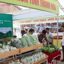 tieu thu dac san kieu gi