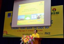 Xây dựng văn hóa doanh nghiệp tại PVCFC
