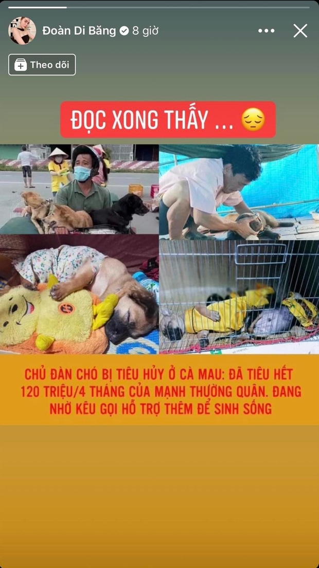 Sao Việt ngày 12/2/2022: Đoàn Di Băng phản ứng trước thông tin 