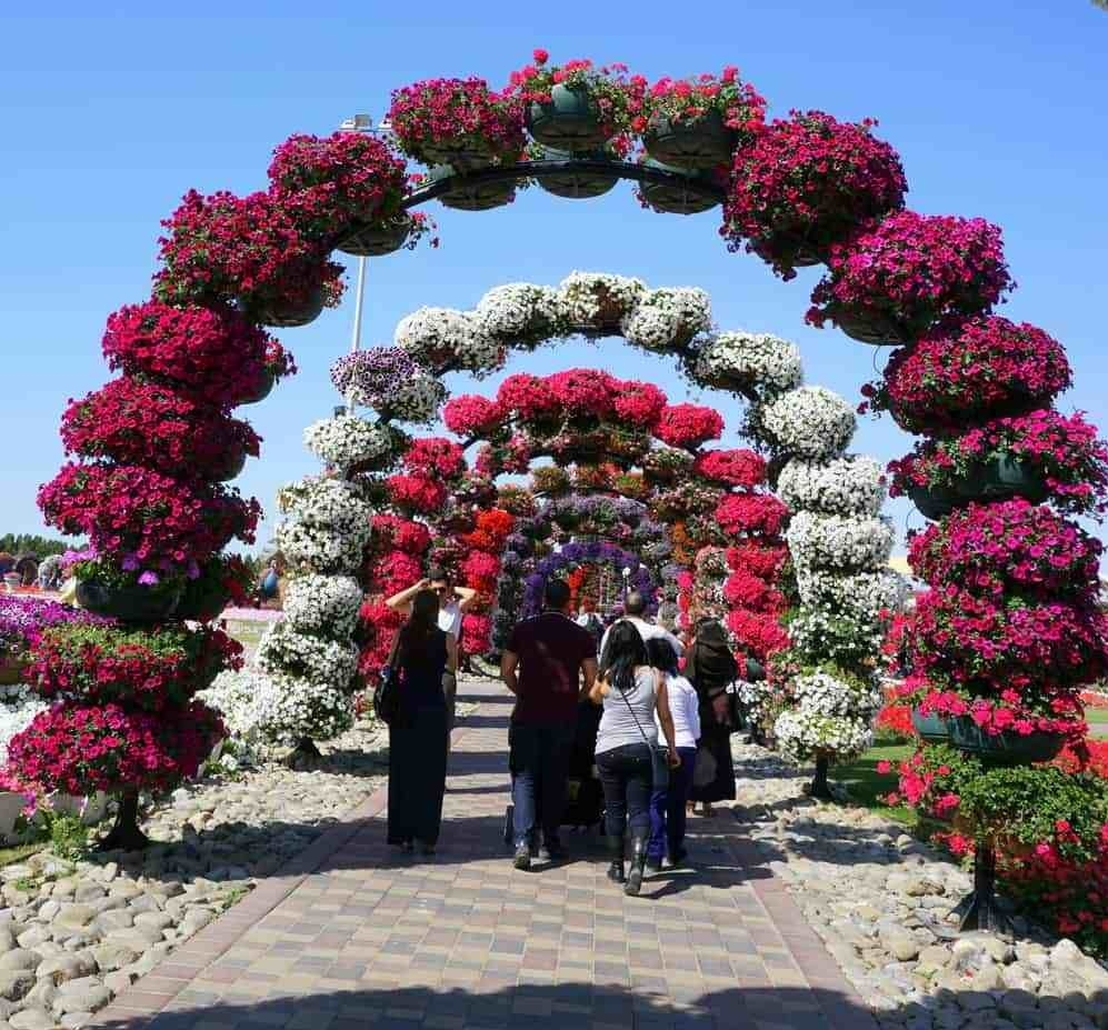 Đến Dubai, đừng quên ghé thăm vườn hoa lớn nhất thế giới den dubai dung quen ghe tham vuon hoa lon nhat the gioi