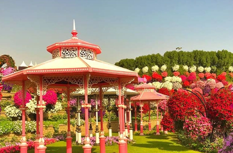 Đến Dubai, đừng quên ghé thăm vườn hoa lớn nhất thế giới den dubai dung quen ghe tham vuon hoa lon nhat the gioi