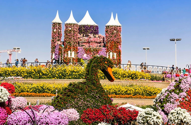 Đến Dubai, đừng quên ghé thăm vườn hoa lớn nhất thế giới den dubai dung quen ghe tham vuon hoa lon nhat the gioi