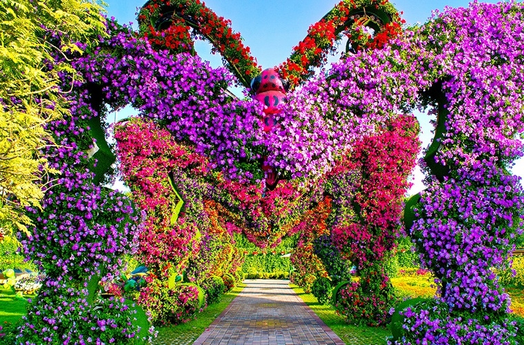 Đến Dubai, đừng quên ghé thăm vườn hoa lớn nhất thế giới den dubai dung quen ghe tham vuon hoa lon nhat the gioi
