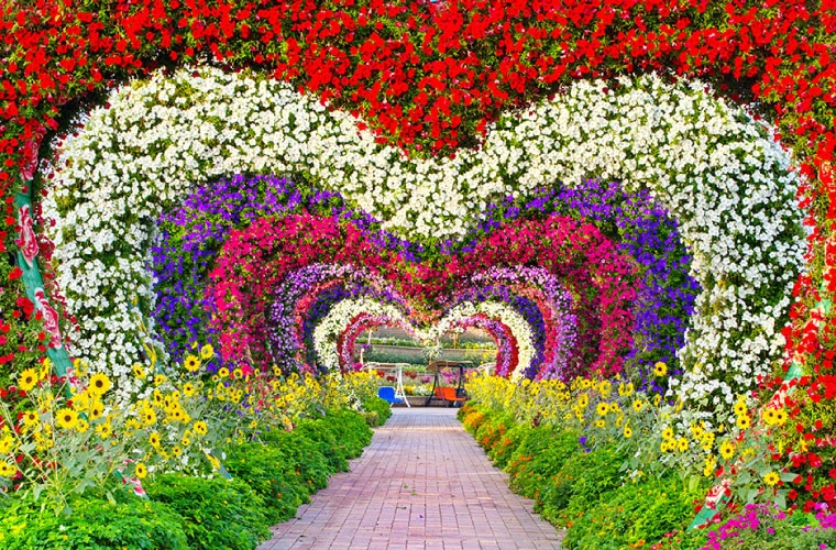 Đến Dubai, đừng quên ghé thăm vườn hoa lớn nhất thế giới den dubai dung quen ghe tham vuon hoa lon nhat the gioi