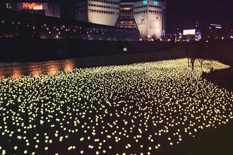 Hòa vào không khí sôi động của chợ đêm Seoul hoa vao khong khi soi dong cua cho dem seoul