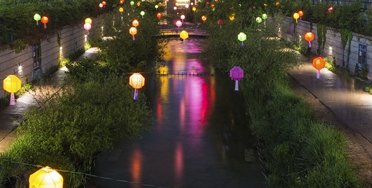 hoa vao khong khi soi dong cua cho dem seoul