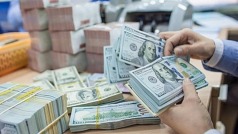 Tỷ giá ngoại tệ hôm nay 31/12: USD sụt giảm sâu và xuống đáy gần 3 năm