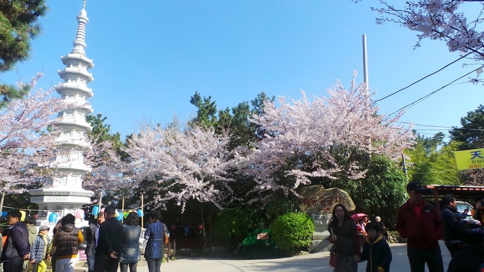 Khám phá ngôi chùa cổ bên bờ biển ở Busan, Hàn Quốc Khám phá ngôi chùa cổ bên bờ biển ở Busan, Hàn Quốc