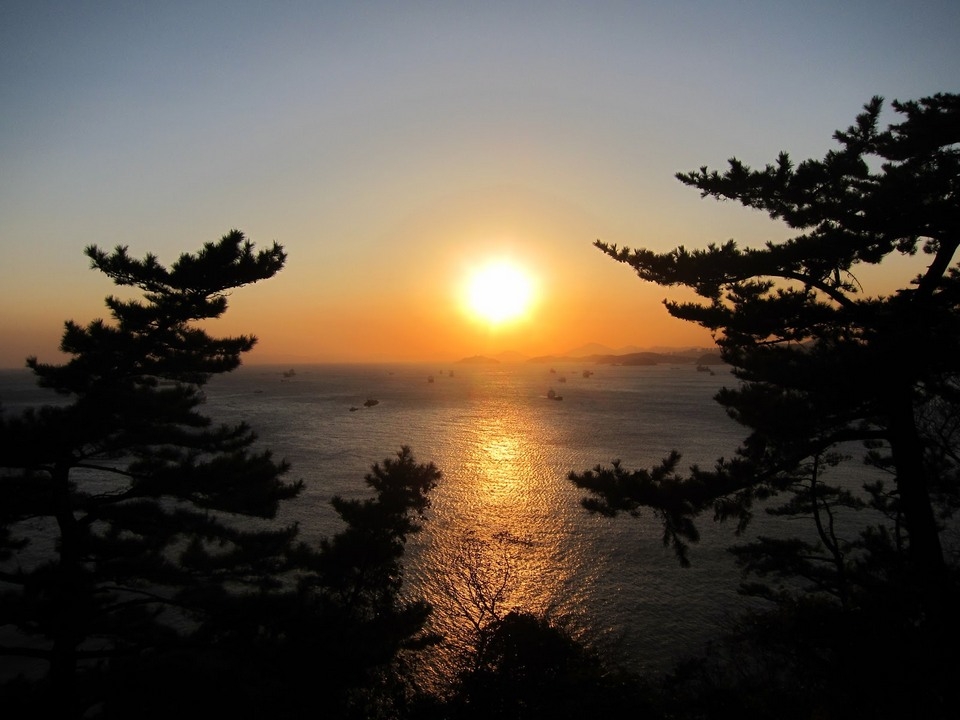 Khám phá ngôi chùa cổ bên bờ biển ở Busan, Hàn Quốc Khám phá ngôi chùa cổ bên bờ biển ở Busan, Hàn Quốc