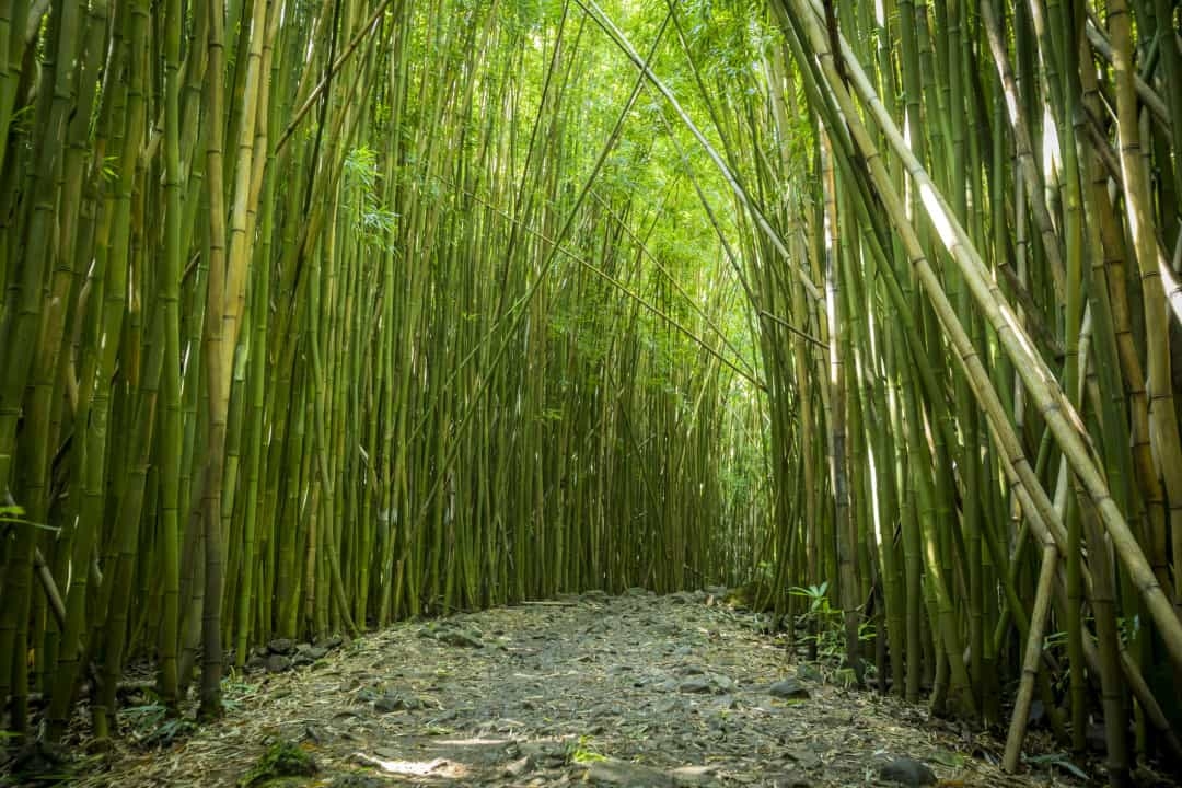 Những địa danh đẹp như trong cổ tích chỉ có ở Mỹ Những địa danh đẹp như trong cổ tích chỉ có ở Mỹ