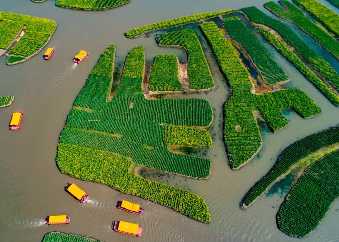 Phong cảnh hoa xuân đẹp hữu tình chỉ có ở Hưng Hóa, Trung Quốc Phong cảnh hoa xuân đẹp hữu tình chỉ có ở Hưng Hóa, Trung Quốc