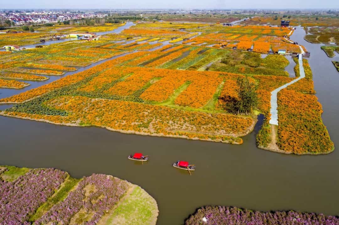 Phong cảnh hoa xuân đẹp hữu tình chỉ có ở Hưng Hóa, Trung Quốc Phong cảnh hoa xuân đẹp hữu tình chỉ có ở Hưng Hóa, Trung Quốc