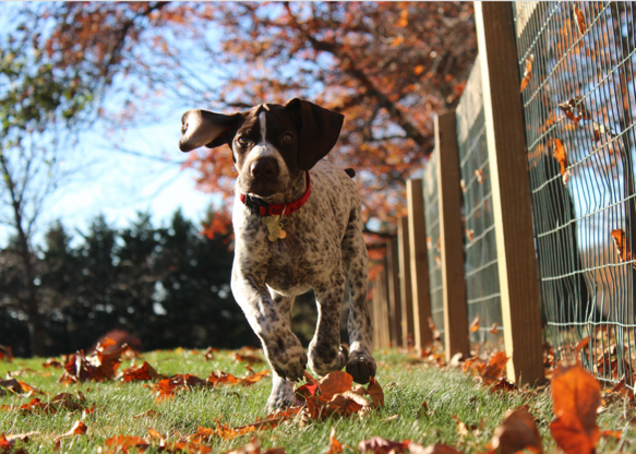 Những thành phố thân thiện với Những thành phố thân thiện với