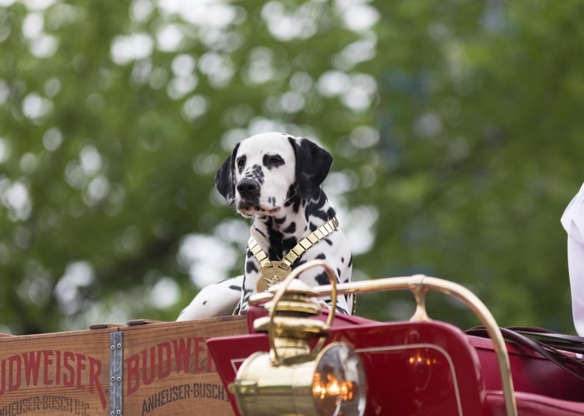 Những thành phố thân thiện với Những thành phố thân thiện với