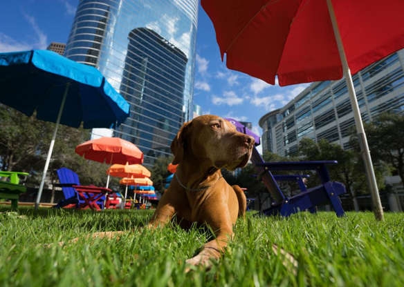 Những thành phố thân thiện với Những thành phố thân thiện với