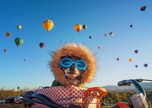 Những thành phố thân thiện với Những thành phố thân thiện với