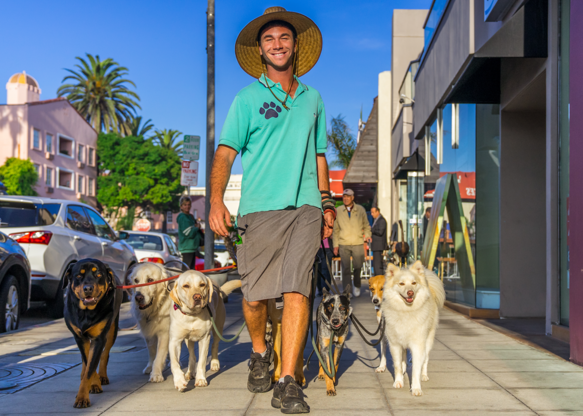 Những thành phố thân thiện với Những thành phố thân thiện với