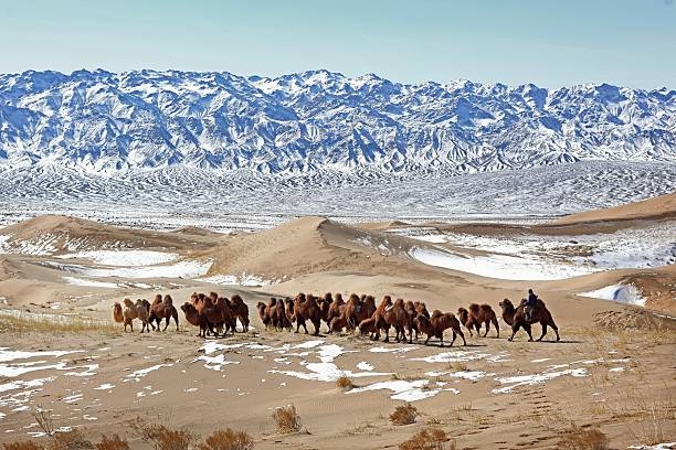 Top 6 địa điểm tham quan hấp dẫn du khách ở Mông Cổ