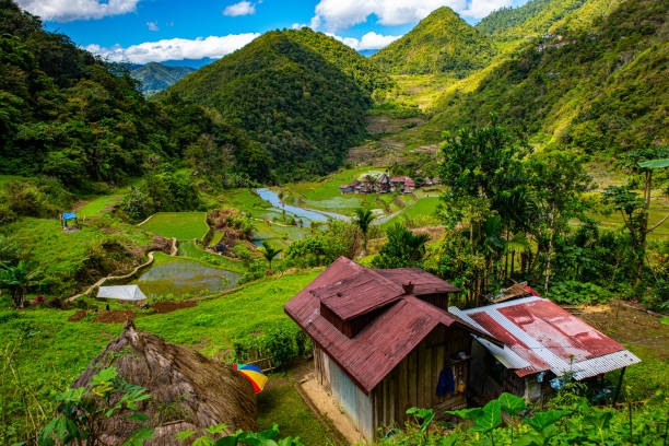 Những địa điểm 