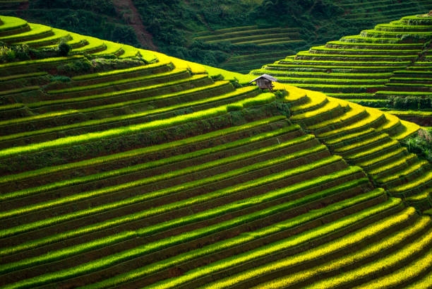 Những địa điểm 
