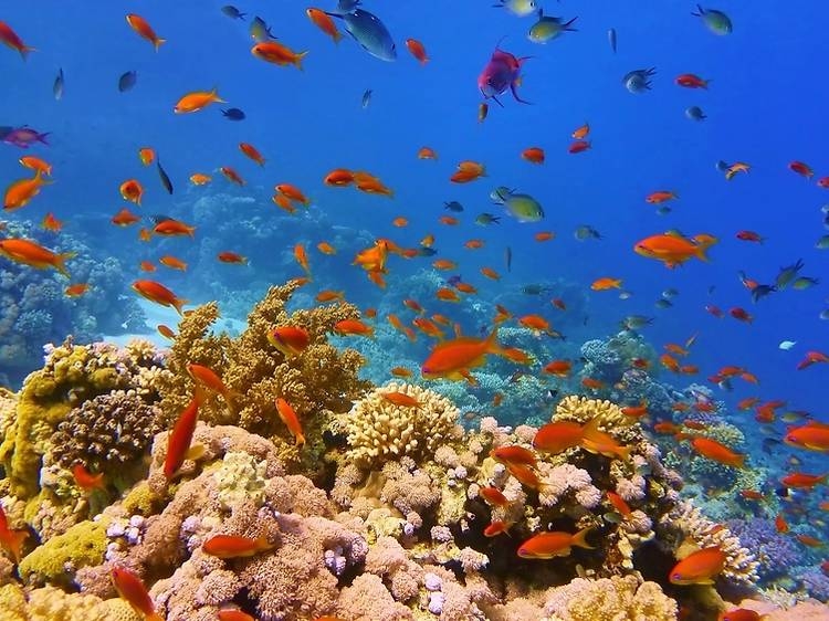 Hút mắt trước vẻ đẹp của những địa điểm rực rỡ sắc màu (Phần 1)