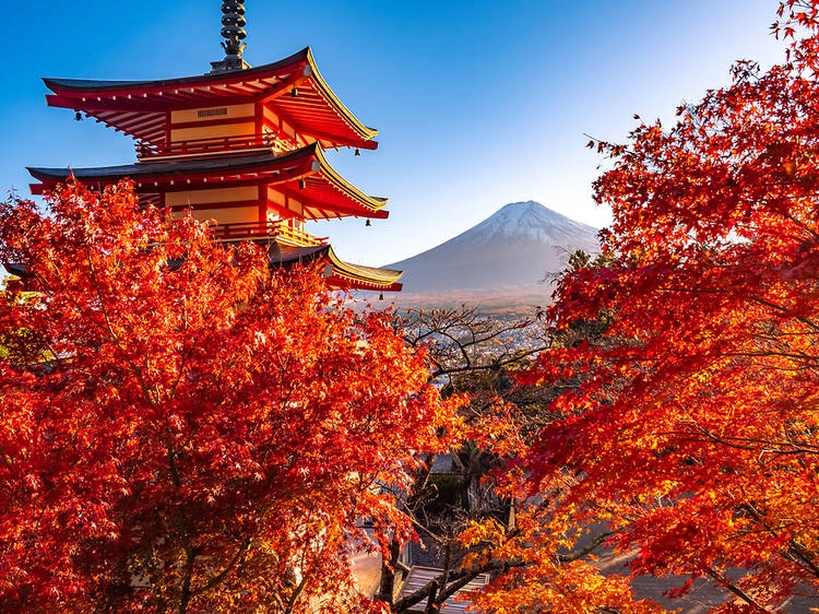 Hút mắt trước vẻ đẹp của những địa điểm rực rỡ sắc màu (Phần 1)