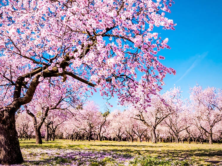 Hút mắt trước vẻ đẹp của những địa điểm rực rỡ sắc màu (Phần 1)