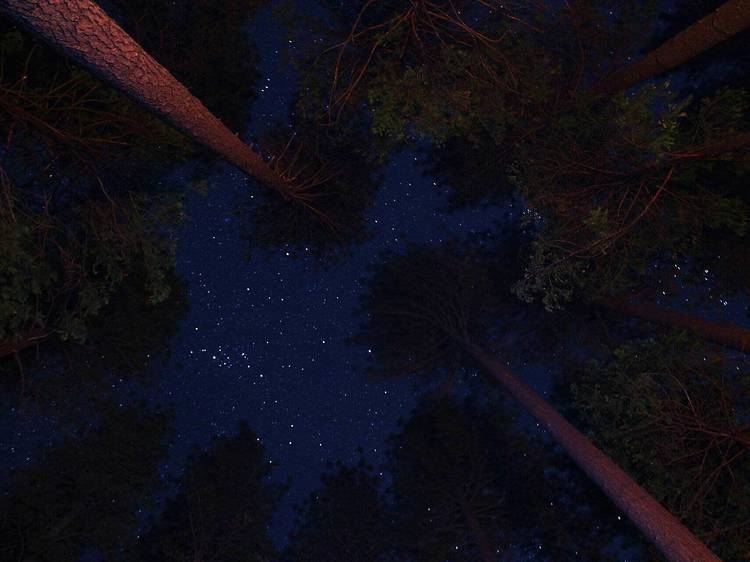 5 địa điểm lý tưởng để ngắm sao ở Mỹ