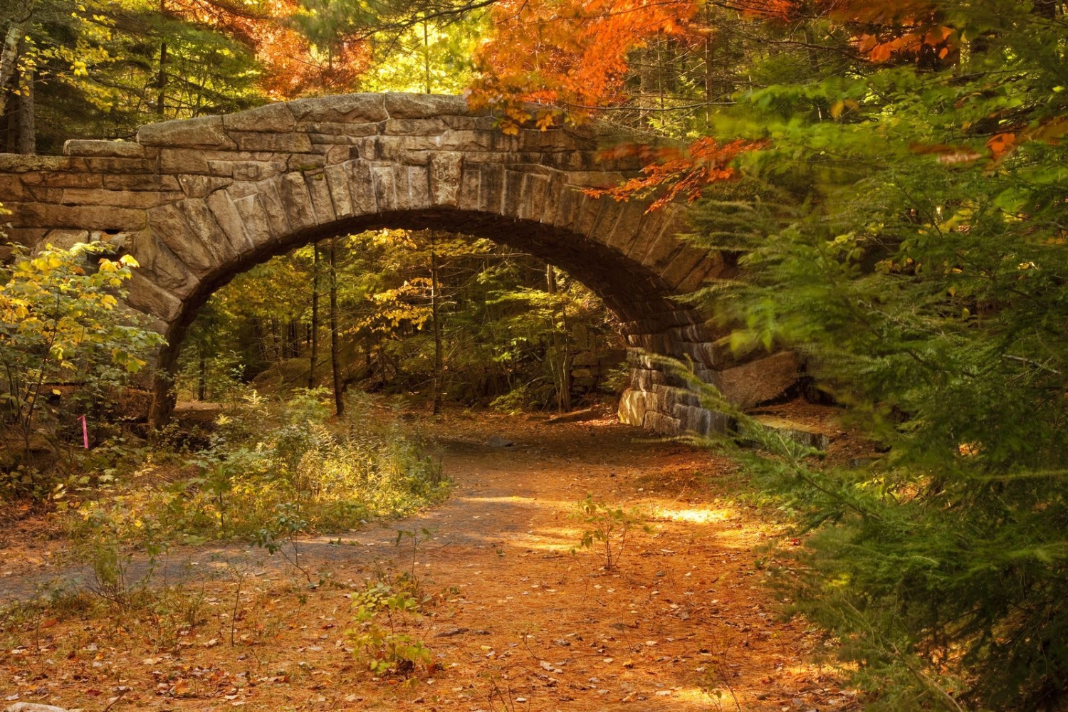 Ngắm mùa thu lá vàng tuyệt đẹp tại 5 công viên quốc gia nổi tiếng của Mỹ