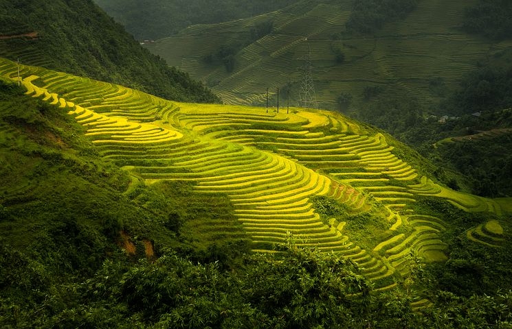 7 điểm đến tuyệt vời ở Việt Nam hấp dẫn du khách nước ngoài