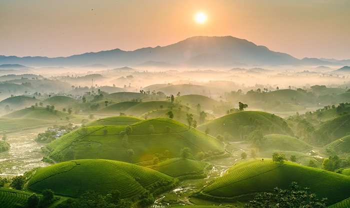 Đồi chè Long Cốc và Vườn quốc gia Xuân Sơn - Địa chỉ du lịch hấp dẫn