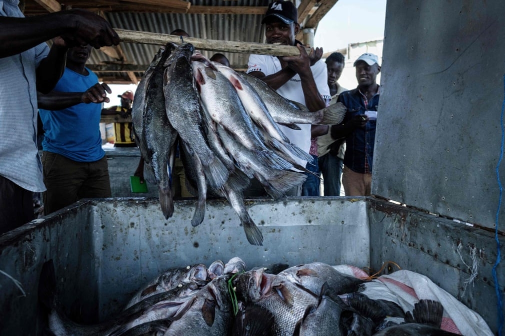 Cuộc sống chật chội ở hòn đảo nhỏ nhất thế giới- Migingo cuoc-song-chat-choi-o-hon-dao-nho-nhat-the-gioi-migingo-4