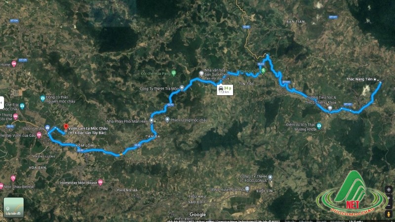 Tất Tật về vườn cam ly Mộc Châu siêu đẹp và ngon Tất Tật về vườn cam ly Mộc Châu siêu đẹp và ngon