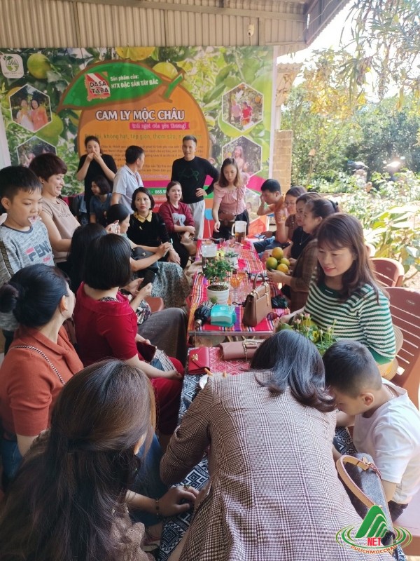 Tất Tật về vườn cam ly Mộc Châu siêu đẹp và ngon Tất Tật về vườn cam ly Mộc Châu siêu đẹp và ngon